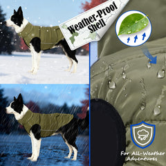 Inanil dog winter puffer olive on-leash-port close-up for easy walks