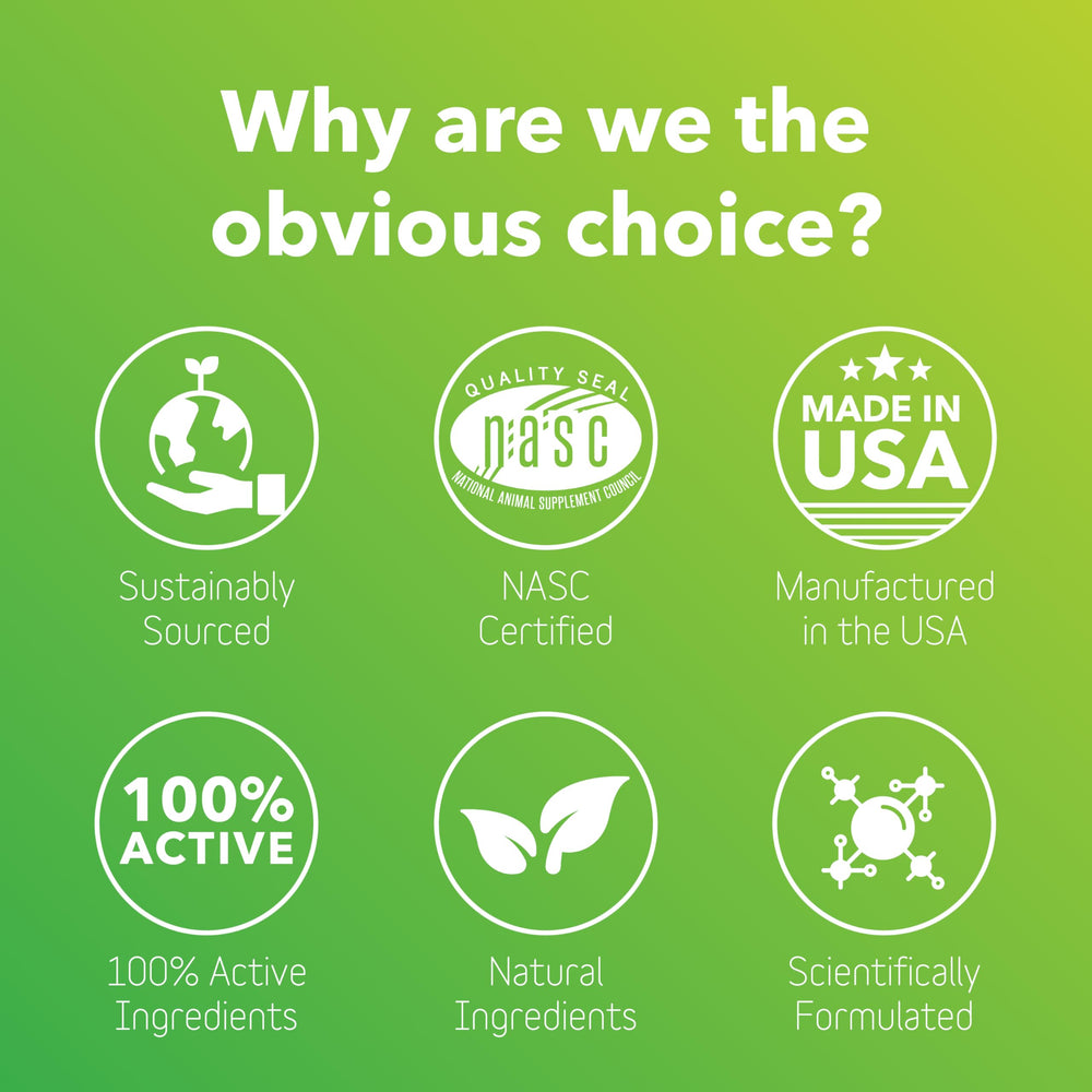 InClover bromelain-action shows enzyme support assisting comfort during allergy flare-ups.