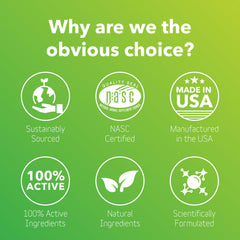 InClover bromelain-action shows enzyme support assisting comfort during allergy flare-ups.