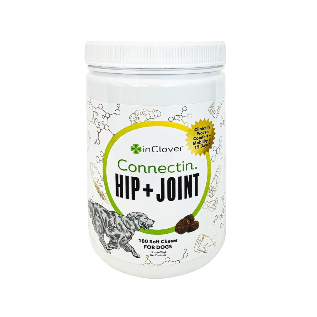 In Clover Connectin soft chews for dogs; supports mobility and daily comfort.