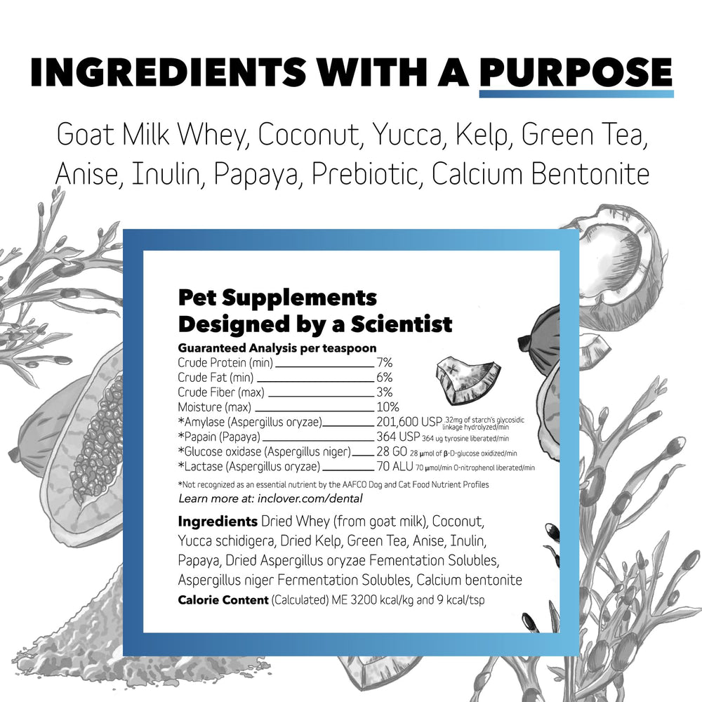 InClover dental powder on cat food, a gentle path to healthier gums and enamel.