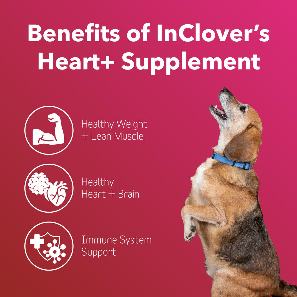 InClover Heart+ bottle label highlights key ingredients supporting heart and immune health.