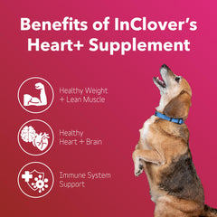 InClover Heart+ bottle label highlights key ingredients supporting heart and immune health.