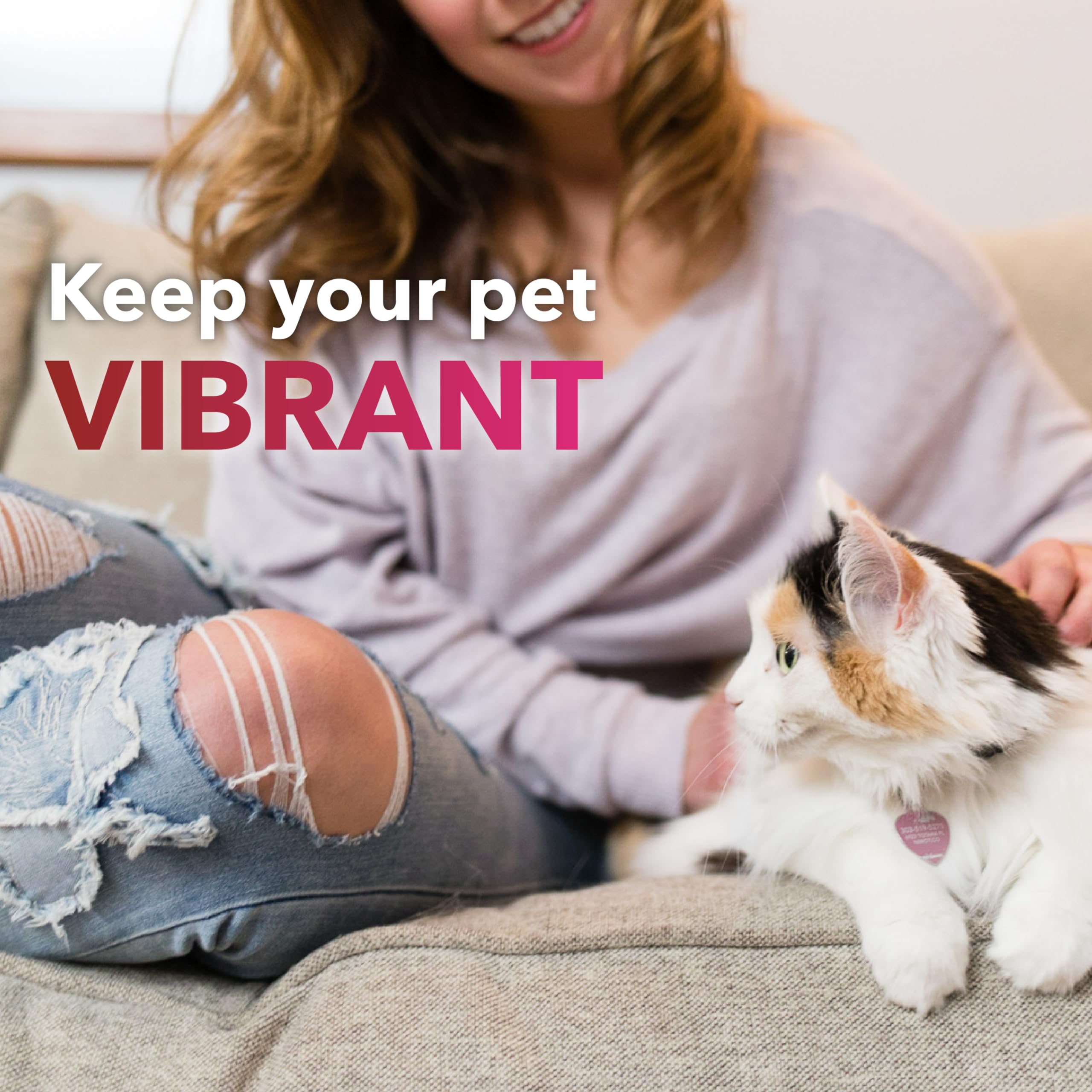 InClover Heart+ senior pet health aids vitality and weight management for older pets.