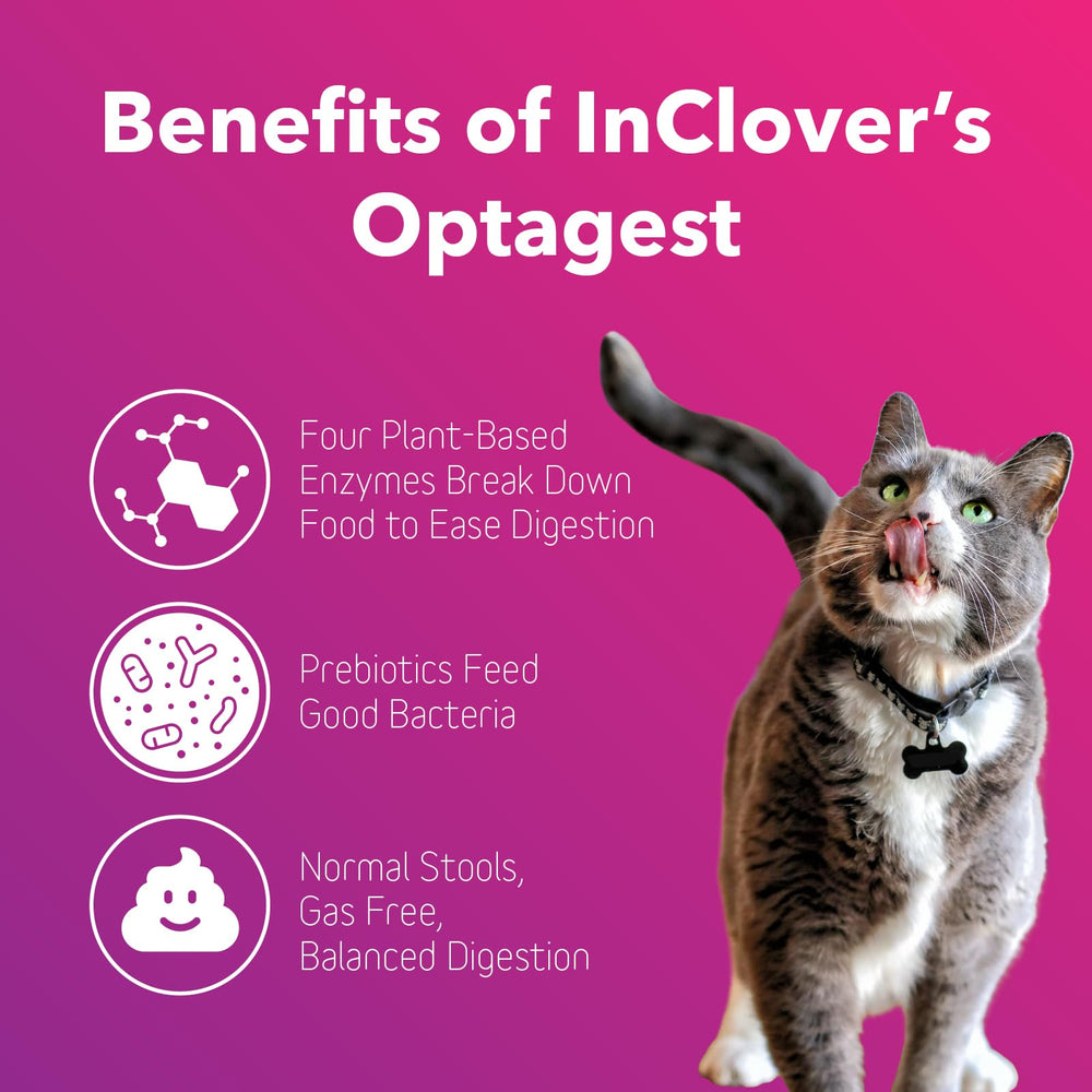 In Clover Optagest being poured onto pet food for balanced digestion