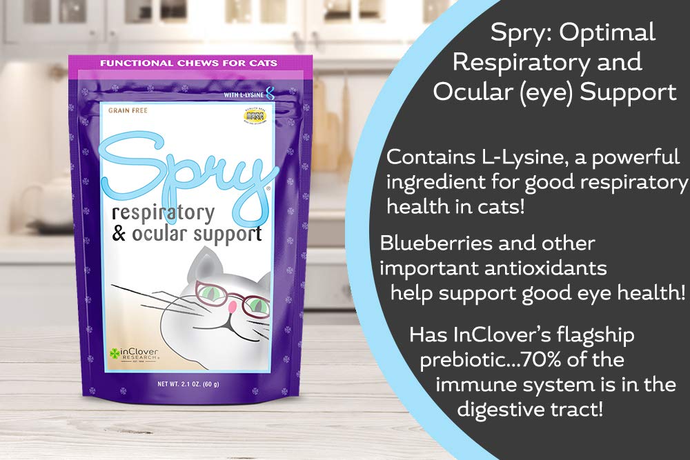 In Clover Spry soft chews L-Lysine ingredient highlighted for immune system support.