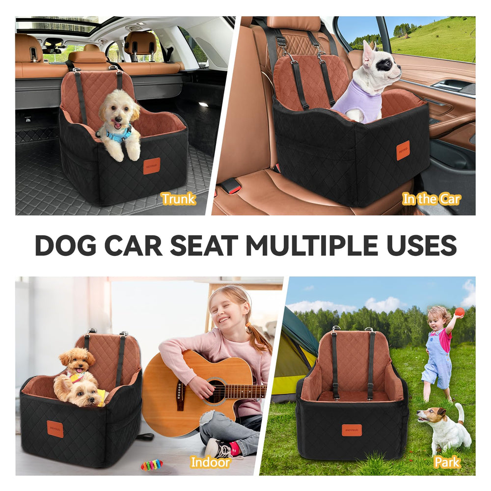 INDYBUD fits small to medium dogs up to 35 pounds comfortably.