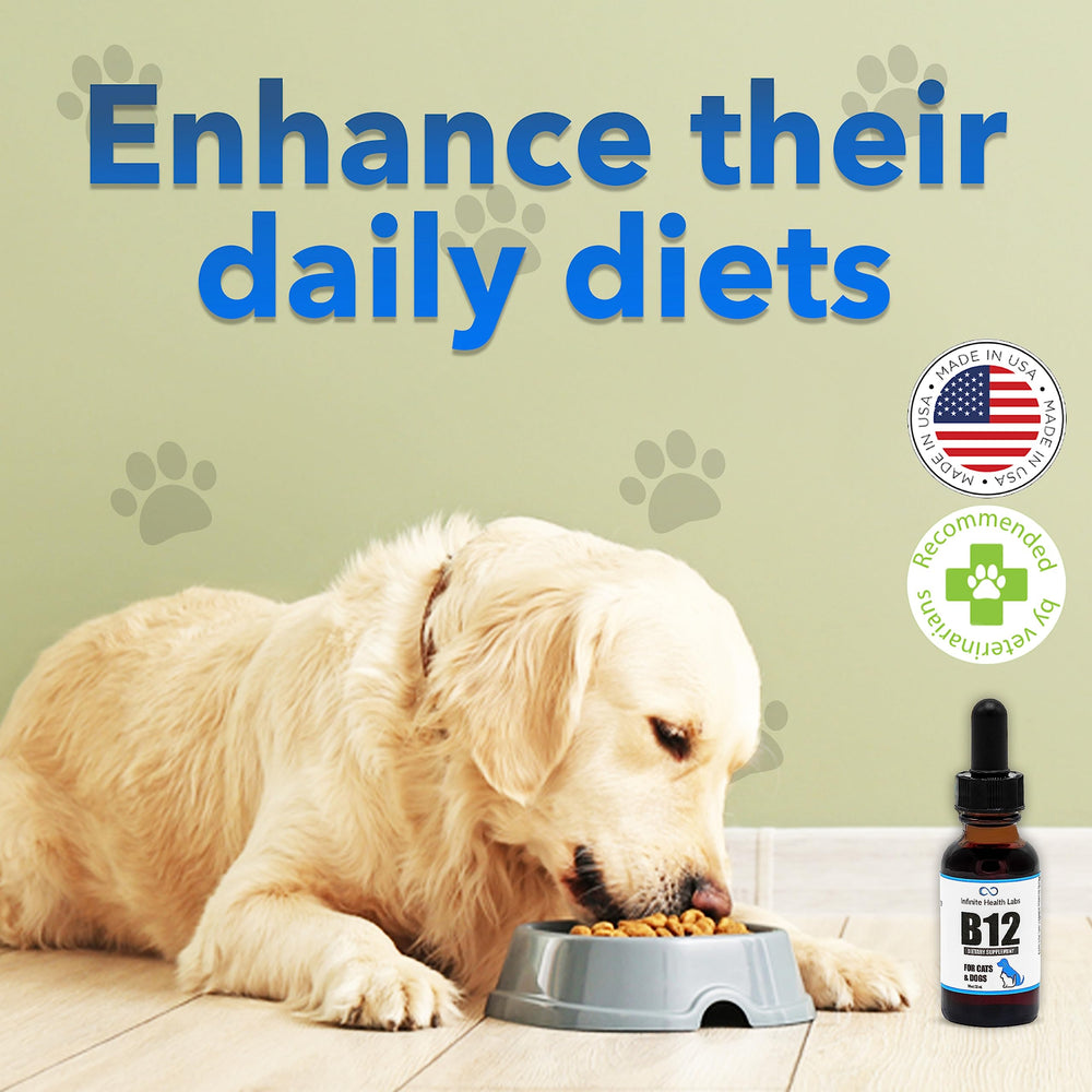 Infinite Health Labs Liquid B-12 on cats-eating showing palatable supplement use.