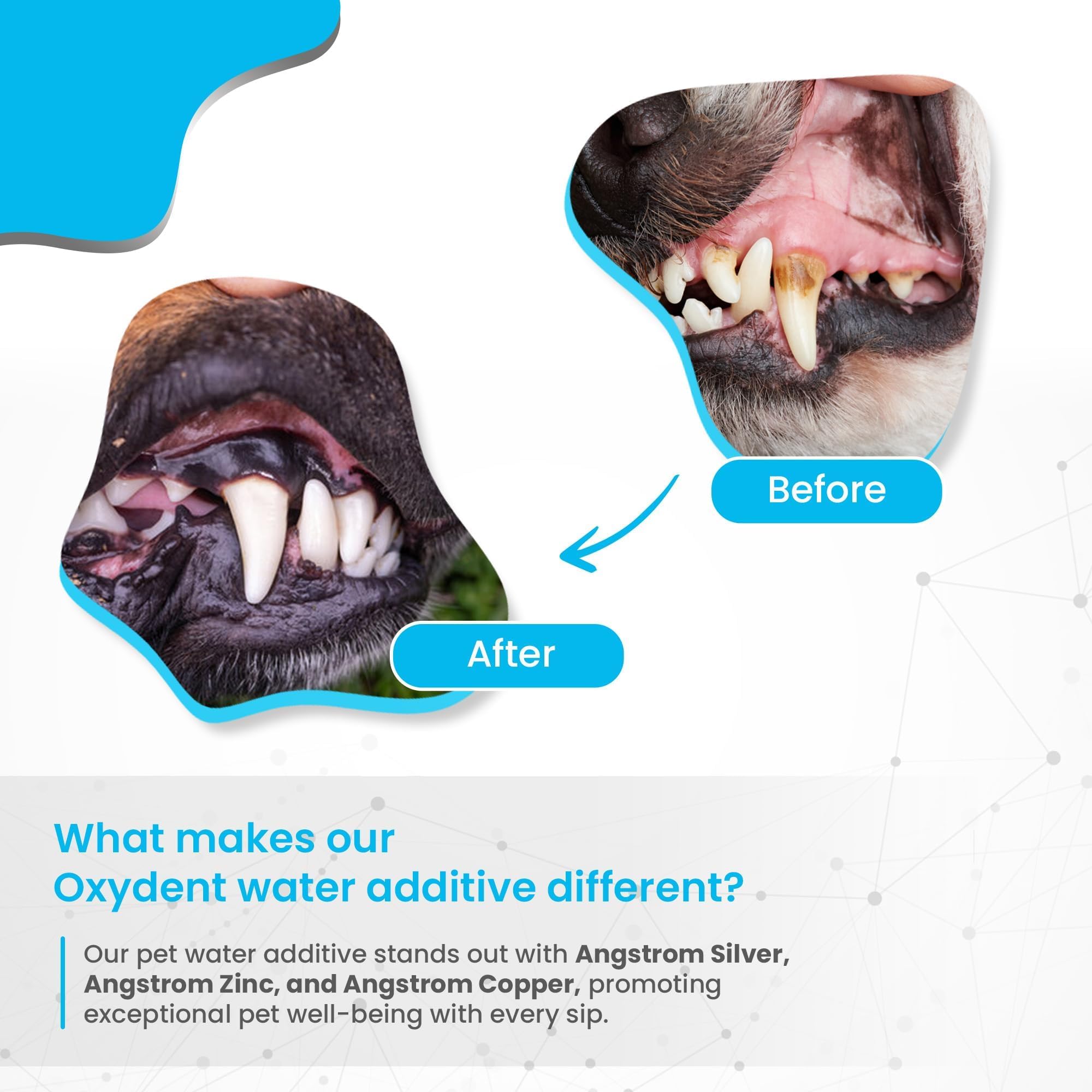 Odorless and tasteless Oxydent is suitable for picky pets' routine.