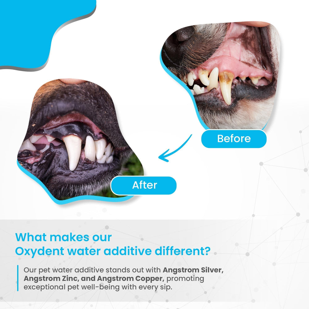 Odorless and tasteless Oxydent is suitable for picky pets' routine.