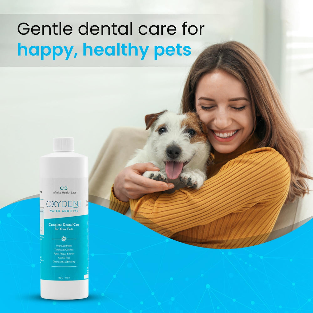 Infinite Health Labs Oxydent bottle in a pet water bowl supports dental care.