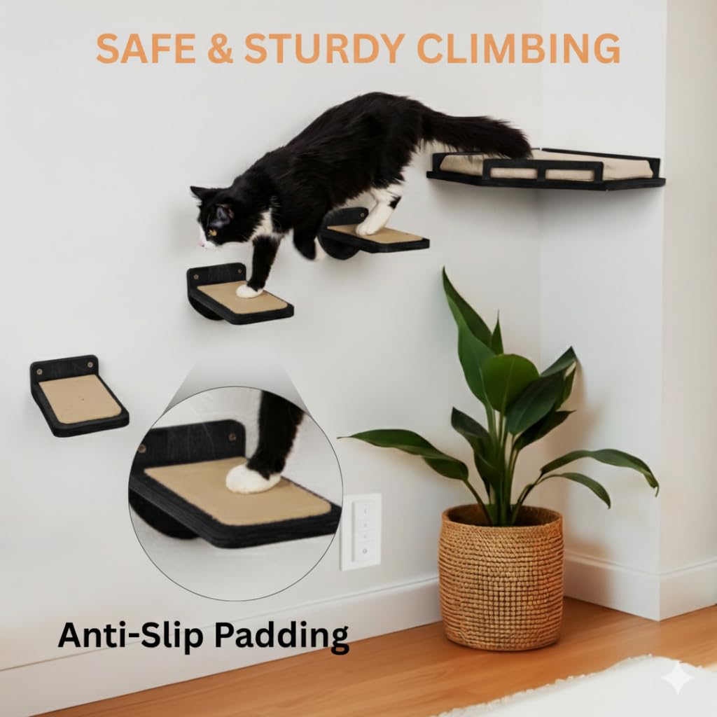 INICIO Cat Wall Shelves birch wood durability and warmth.