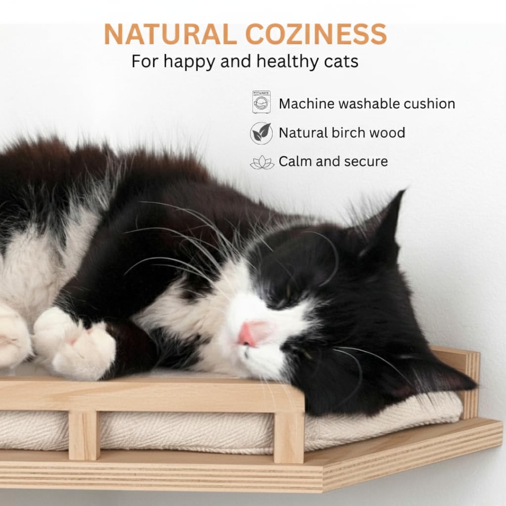 INICIO cat wall shelves modern aesthetic blends with home decor while providing vertical fun
