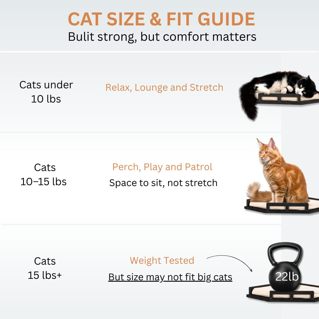 INICIO Cat Wall Shelves modern black finish complements home decor.