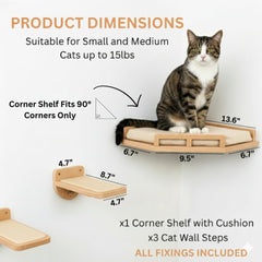 INICIO cat wall shelves sturdy design ensures secure wall-mounted play and lounging