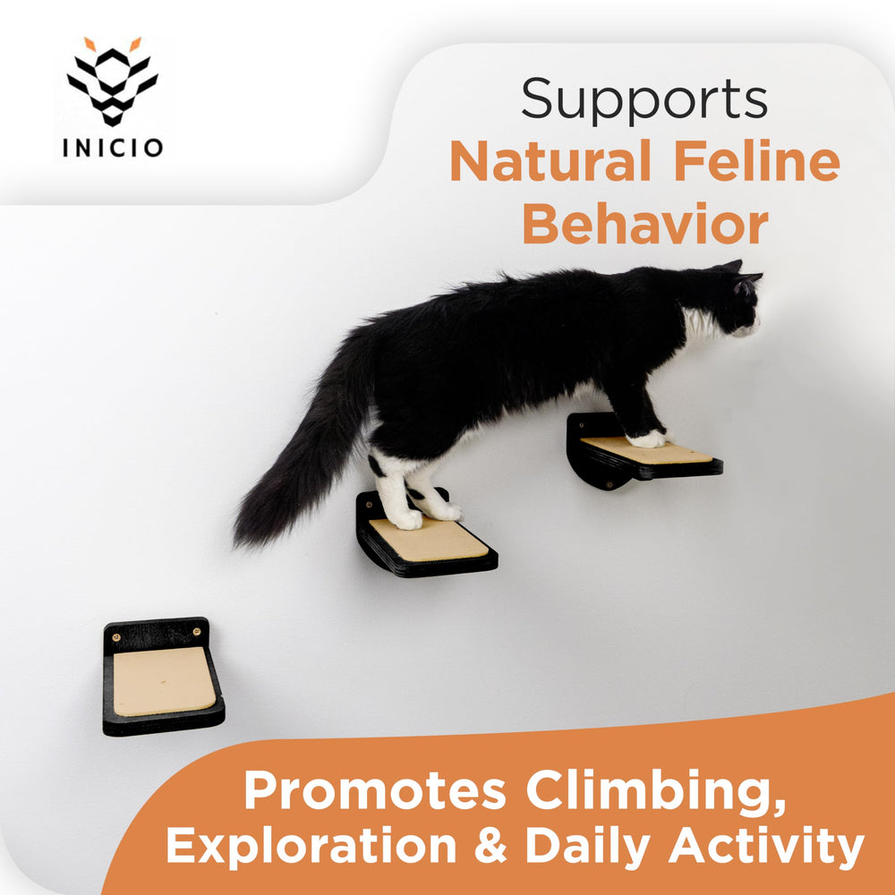 INICIO Cat Wall Stairs black finish suits contemporary home decor.