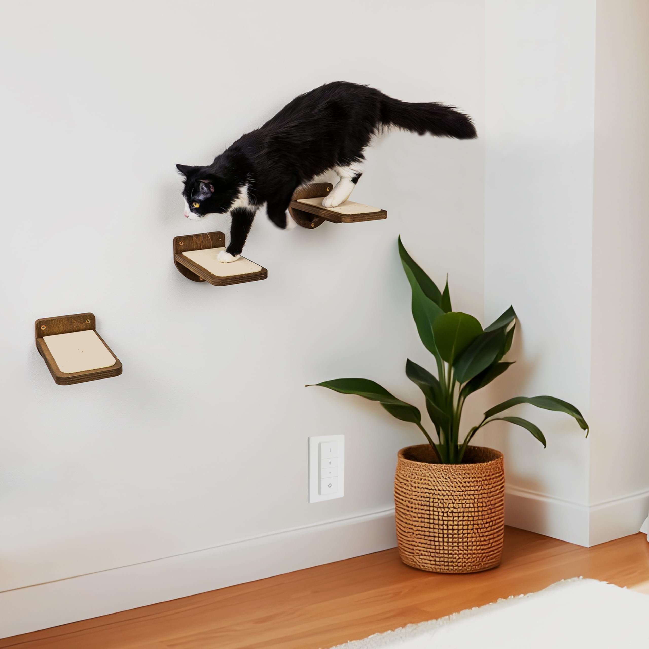 INICIO Cat Wall Stairs kitten use promotes early exercise and exploration