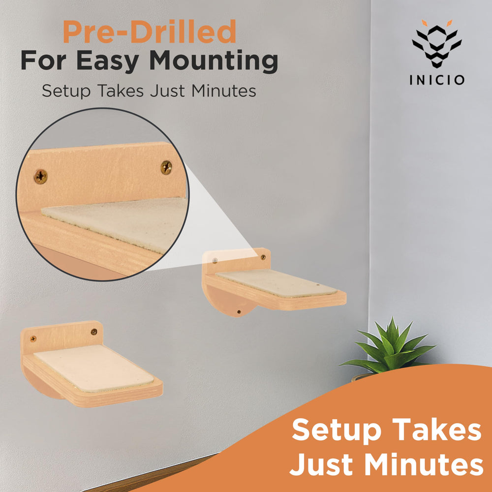 INICIO kitten-to-adult play area on the wall offers safe exploration.