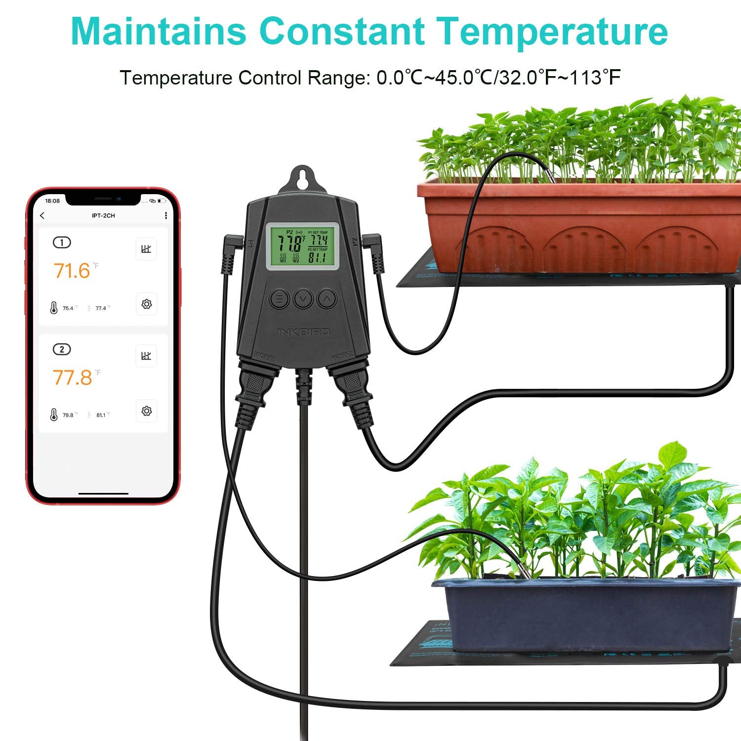 Inkbird IPT-2CH data dashboard illustrating temperature charts and exportable data.