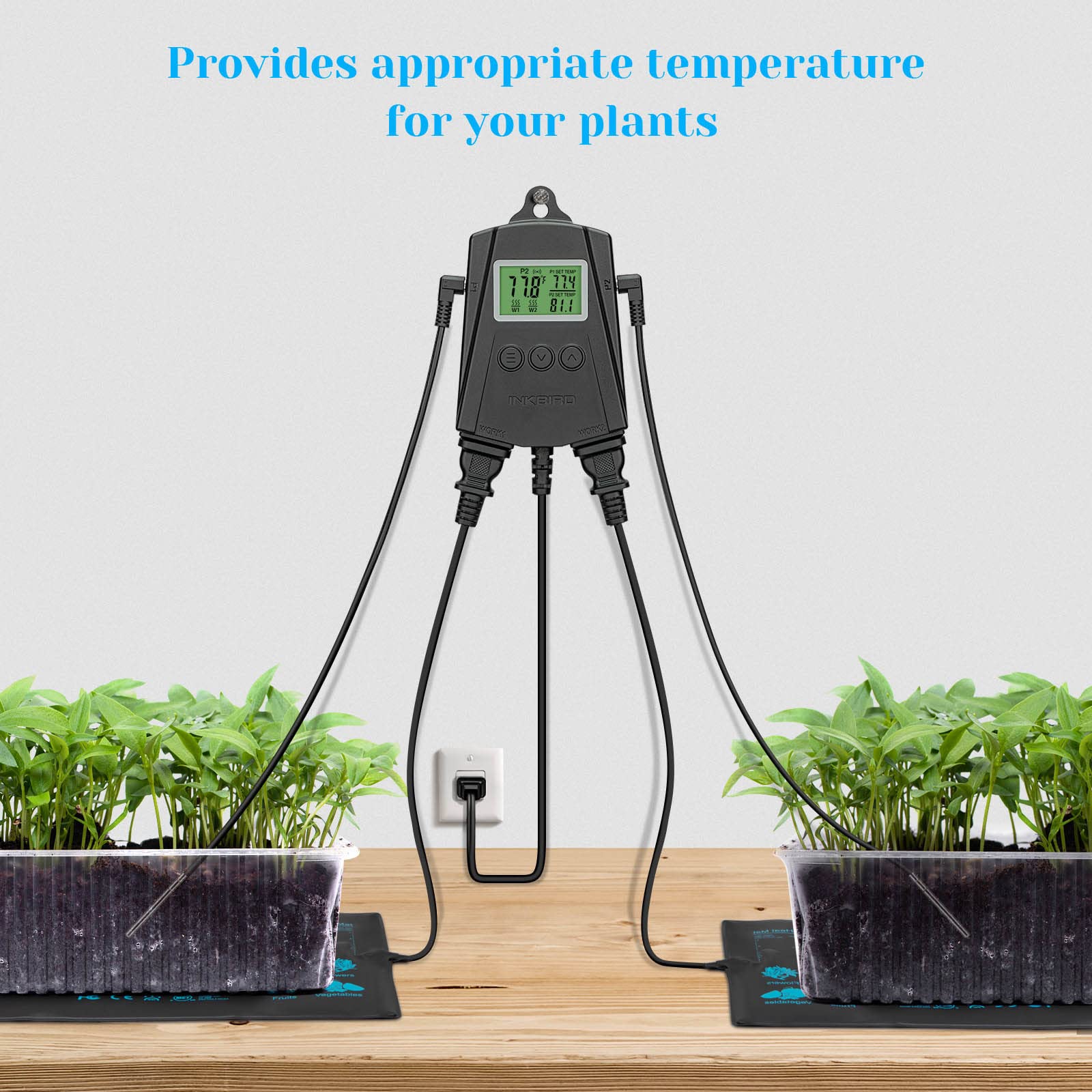 Inkbird IPT-2CH terrarium dual-zone setup powering two habitats.