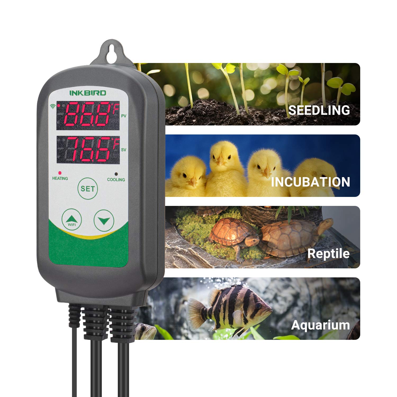 Inkbird ITC-308 waterproof sensor provides reliable readings in damp aquarium environments.