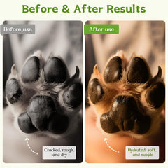 inMeesky paw balm application shows quick, non-greasy coverage on paws