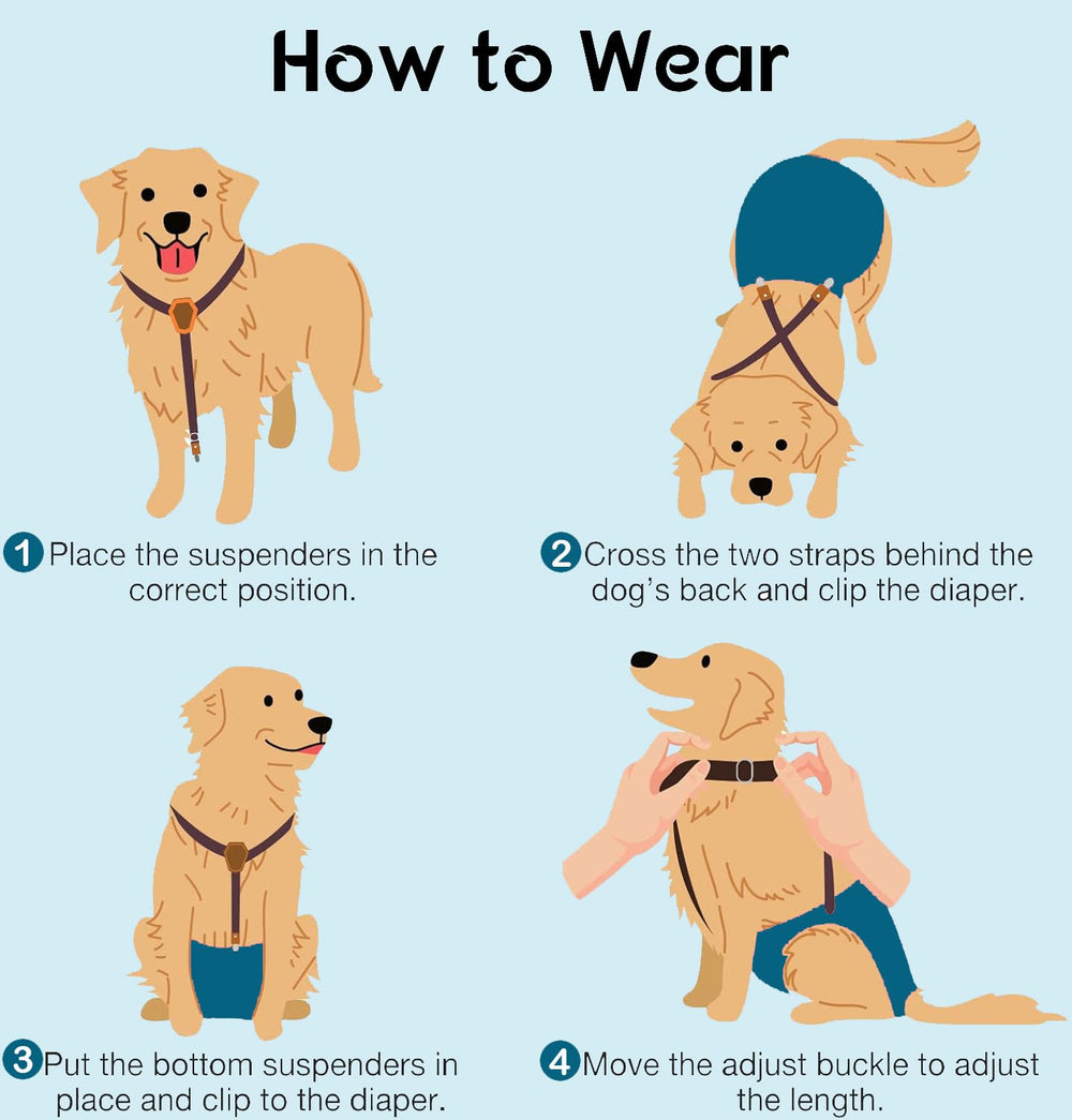 INNERZEN size guide shows how to measure for the perfect fit.