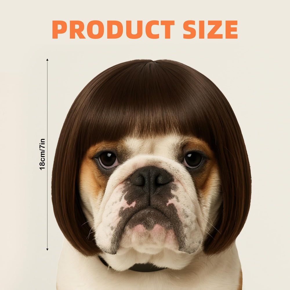 InnoHHustle dog wig elastic strap fit demonstrates secure comfort for active dogs