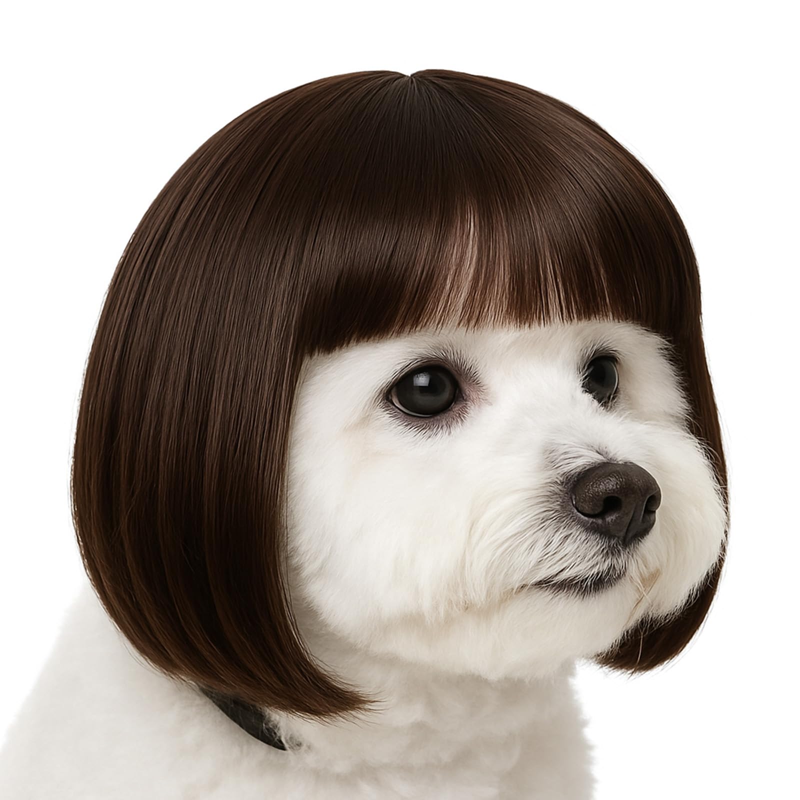 InnoHHustle dog wig hand-sewn polyester promises gentle wear