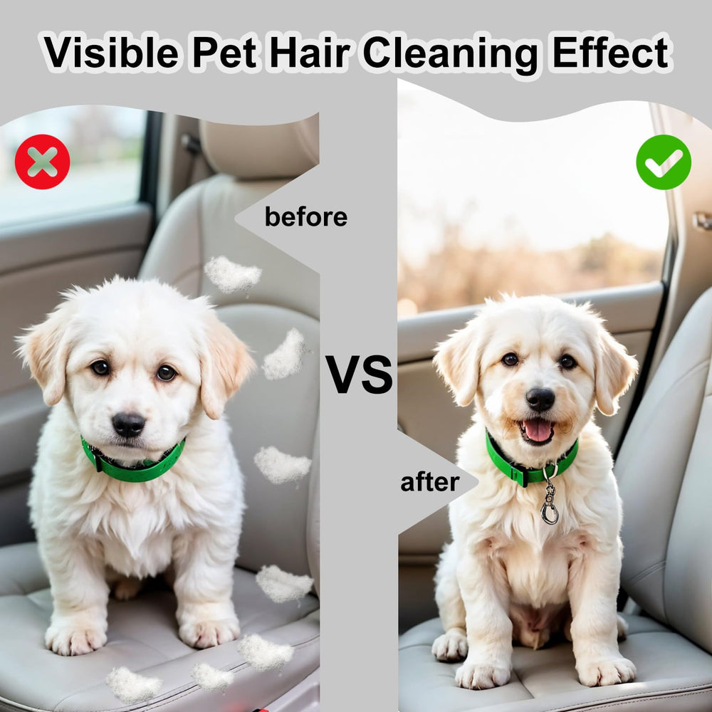 InnoHHustle pet hair remover pumice stone used in car interior for clean seats
