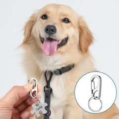 InnoHHustle 3-set tag clips on collars demonstrates easy tag switching in daily walks.