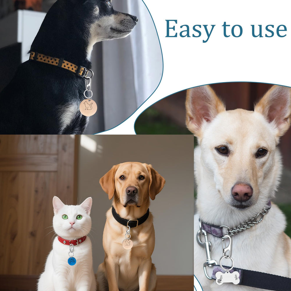 InnoHHustle easy-open clip reveals quick tag change during grooming or walks.