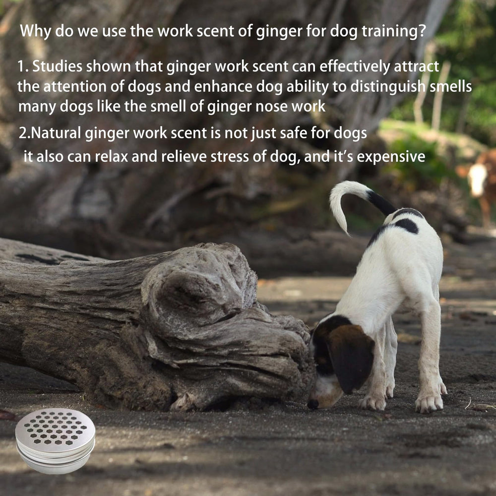 INNOYUMLIN dog nosework game promotes engaging and repeatable sniffing sessions.