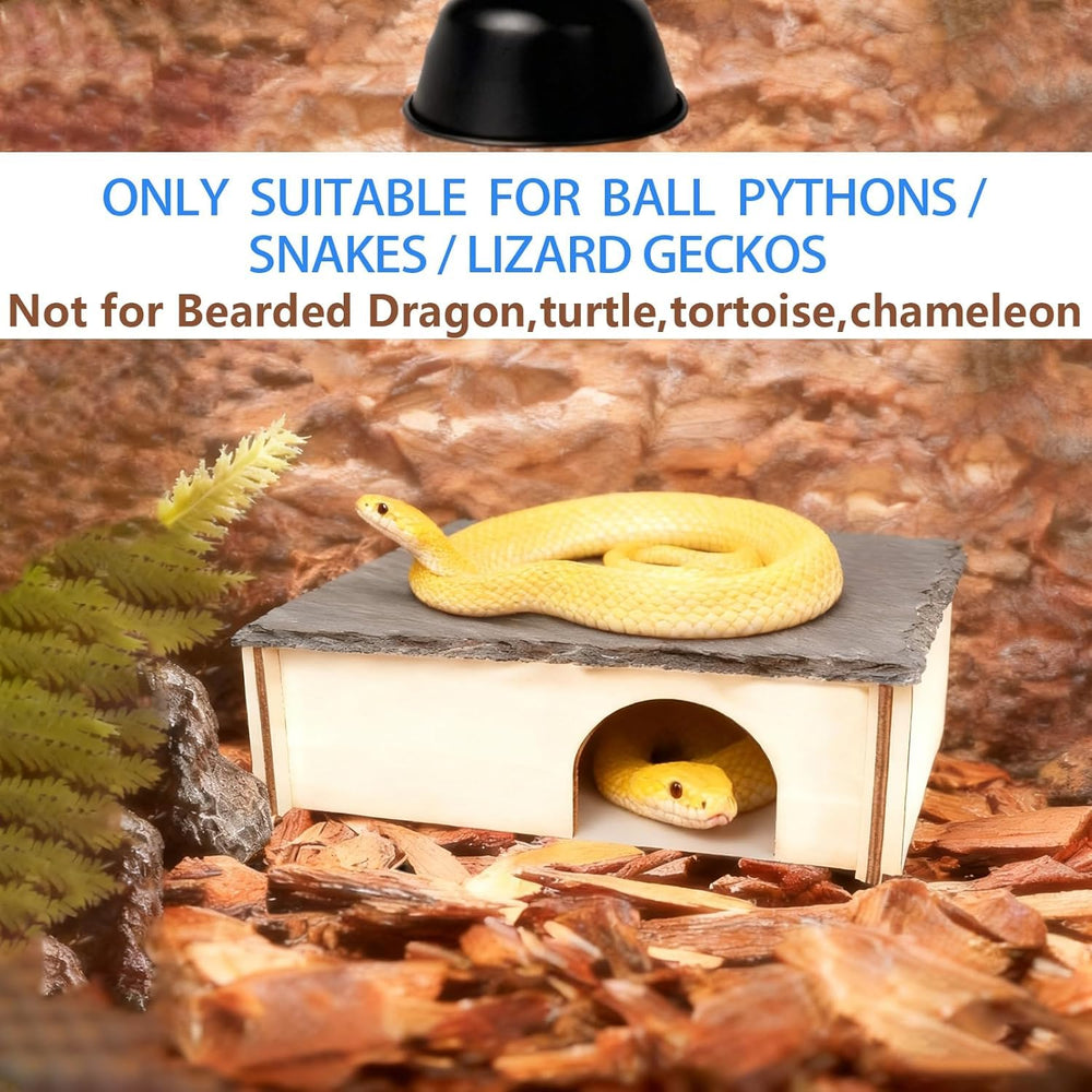 INOSCIND escena terrario con refugio estable para serpiente.