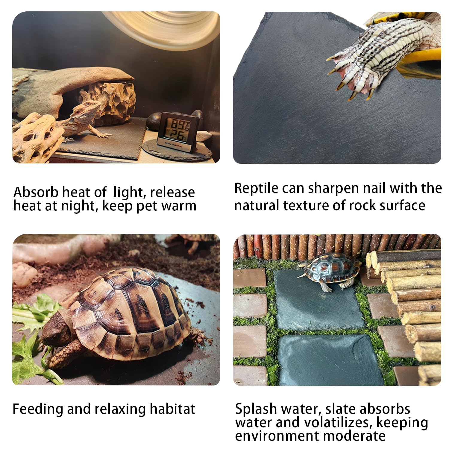 INOSCIND reptile-slate absorbs moisture and slowly evaporates to sustain humidity.