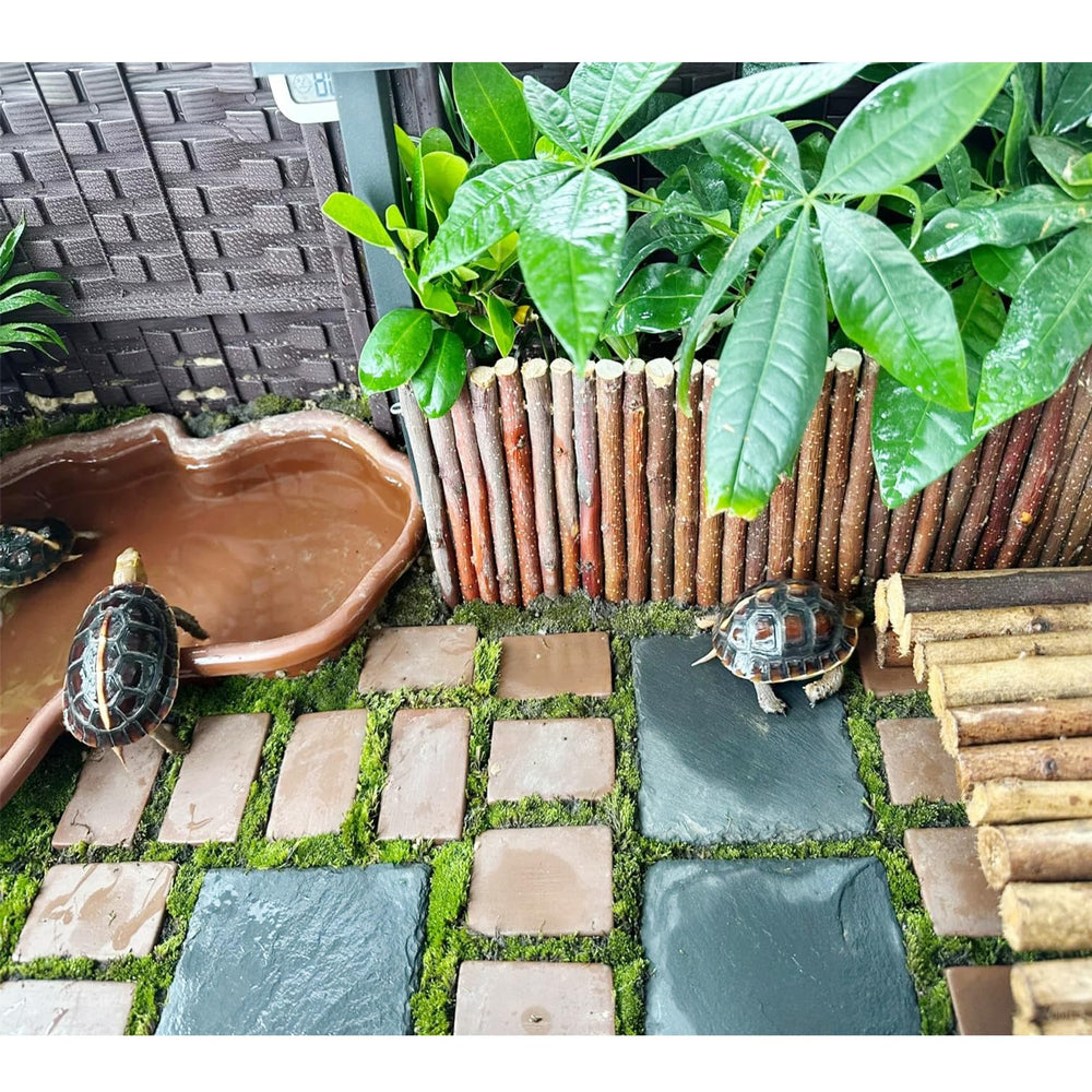 INOSCIND slate-platform does not alter water quality or pH in terrariums.