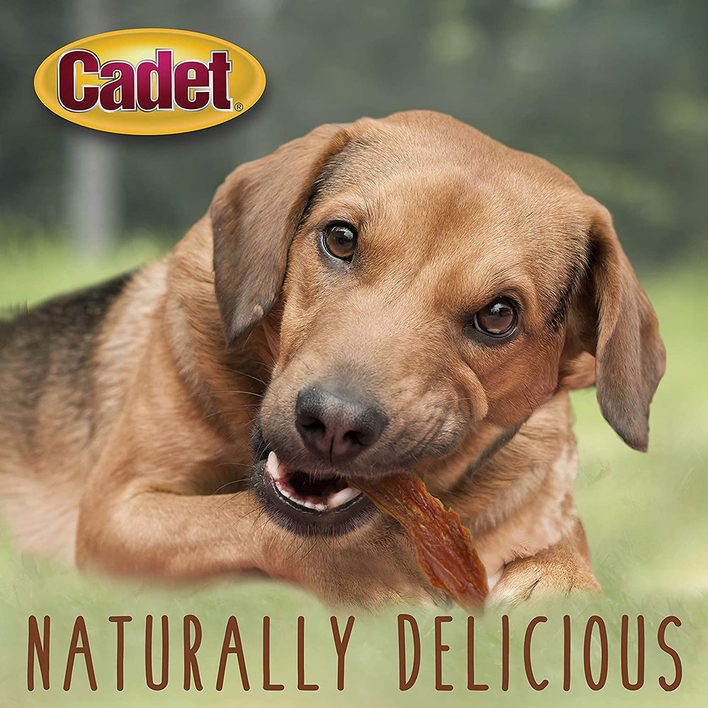 InPrimeTime Cadet Duck Breast Healthy Snack Idea for dogs