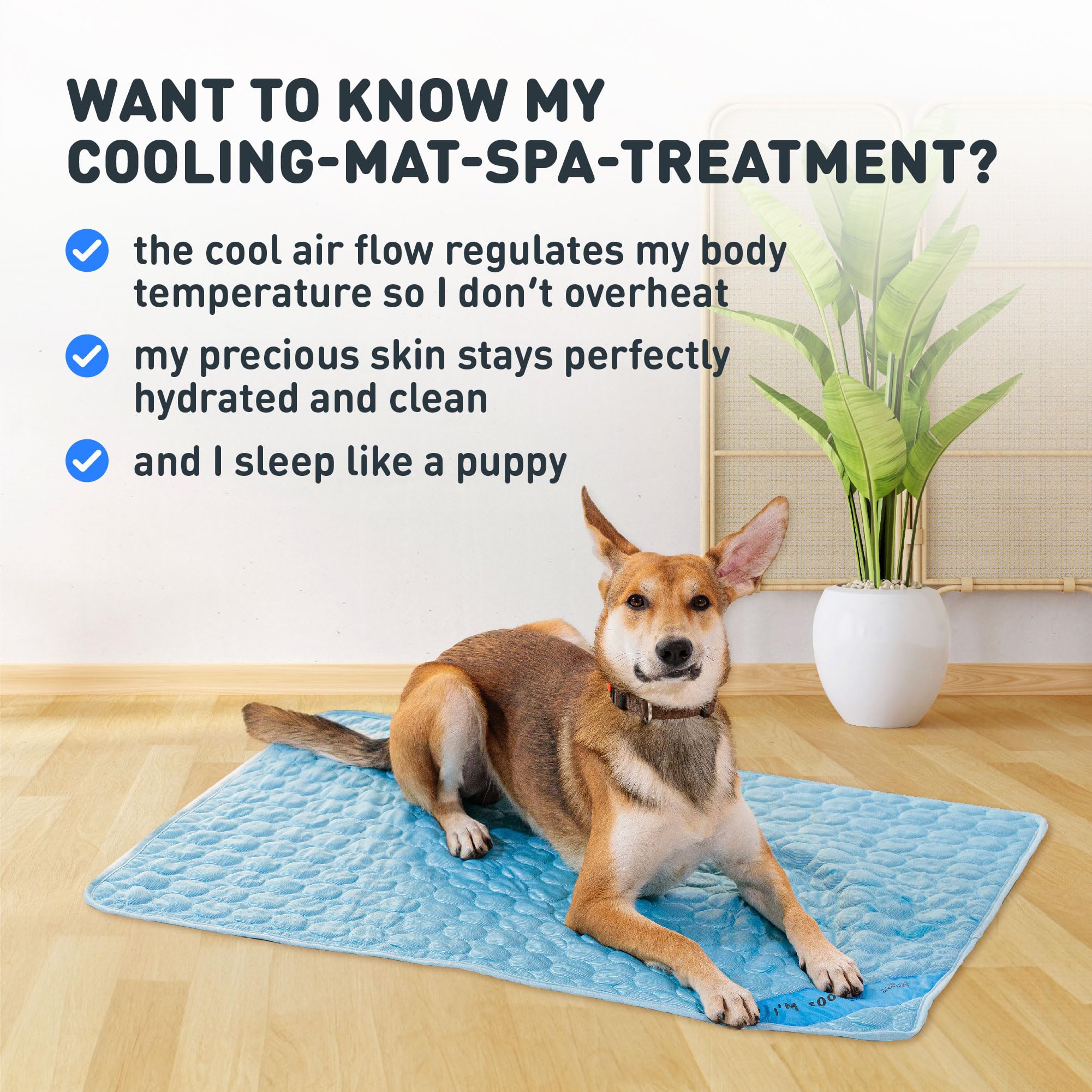 Cooling mat placed in car or on floor for versatile use.