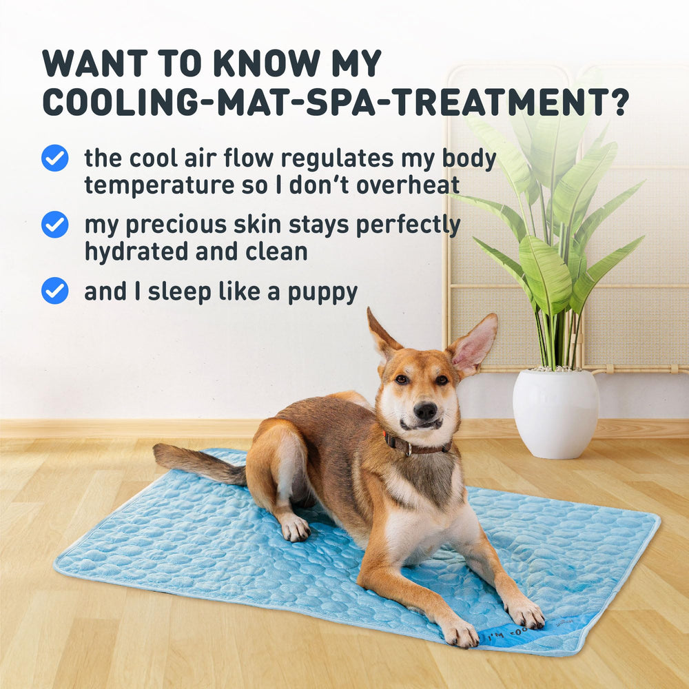 Cooling mat placed in car or on floor for versatile use.