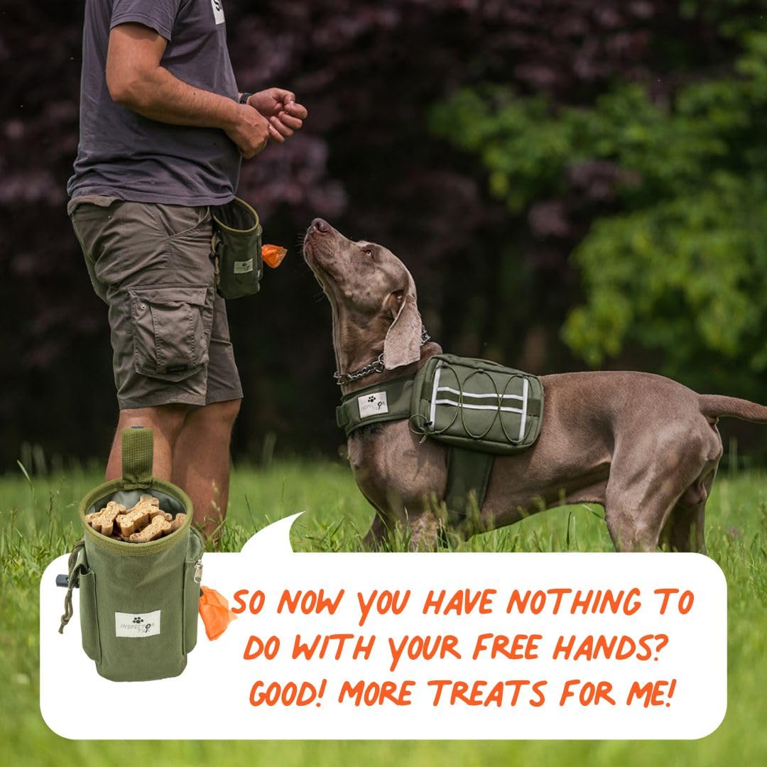 Inspector Tail colourful edition designs ideal for stylish pet outings