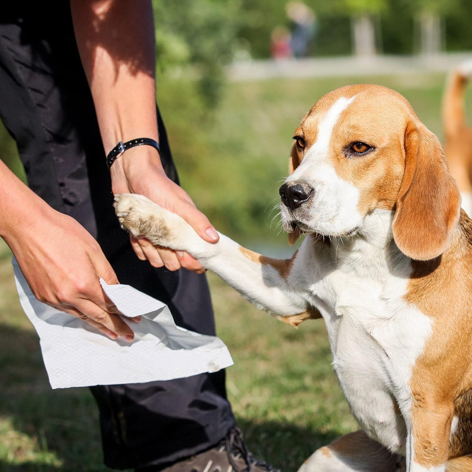 Inspire Naturals Pet Wipes 8x9 inch sheet for broad coverage and effective cleansing.
