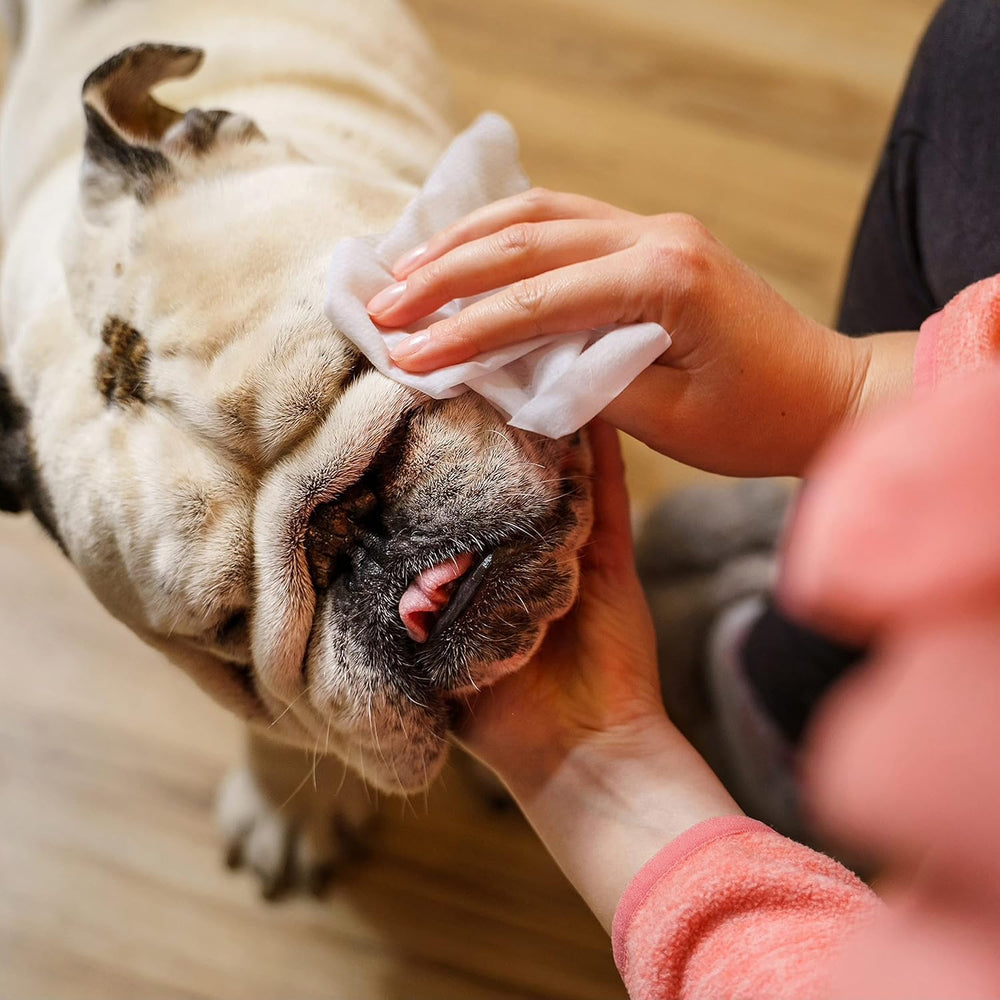 Inspire Naturals Pet Wipes for ears care during a soft wipe-down.