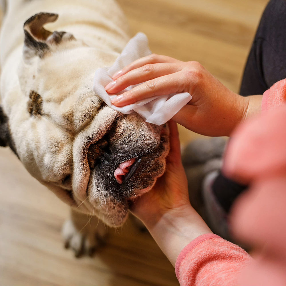 Inspire Naturals deodorizing wipes tackle odors while conditioning fur.