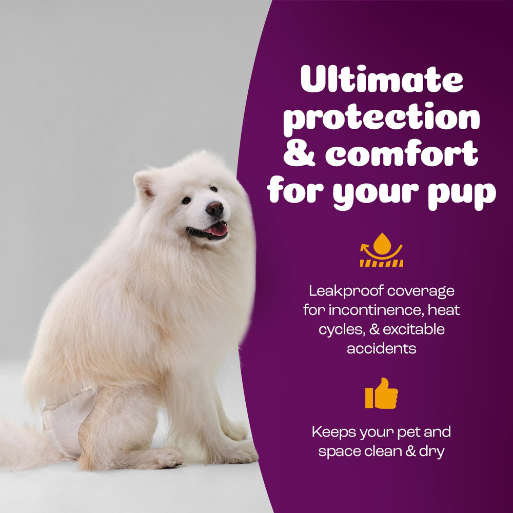 Inspire Pet Care dog diapers maximum absorption graphic communicates protection during incontinence.