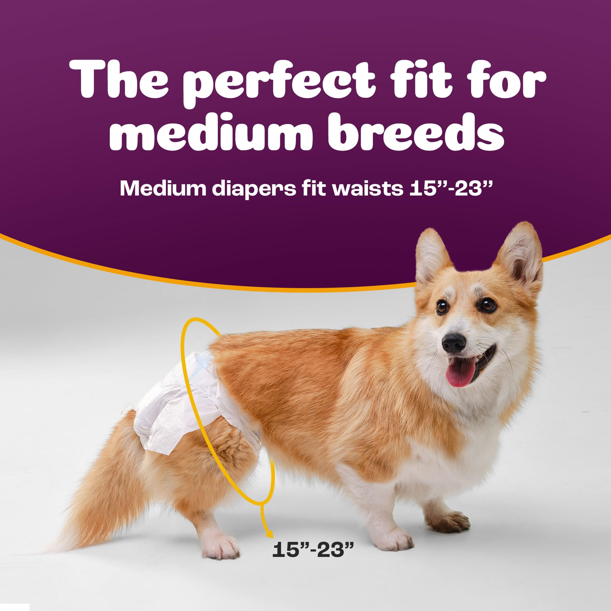 Inspire Pet Care medium 48-count package supports steady housebreaking and training.