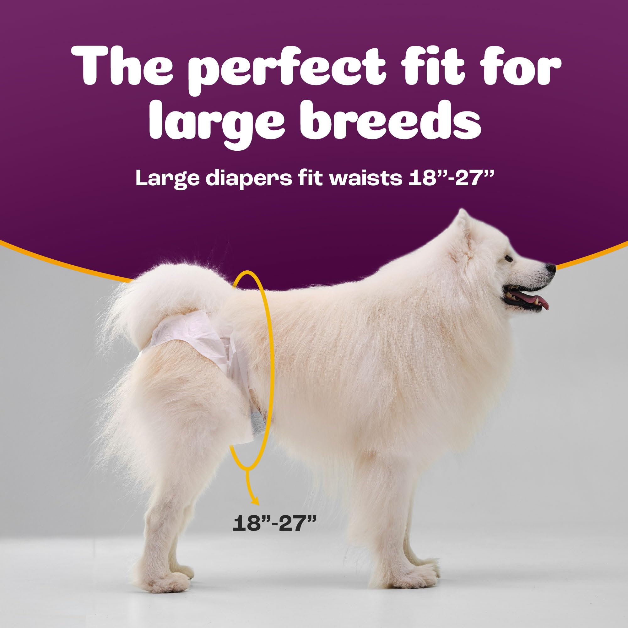 Inspire Pet Care bulk pack back view highlights packaging for easy stocking.
