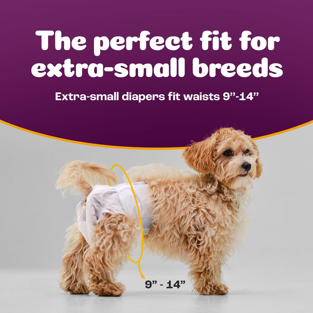 Inspire Pet Care bulk value pack showing 50-count supply for ongoing care