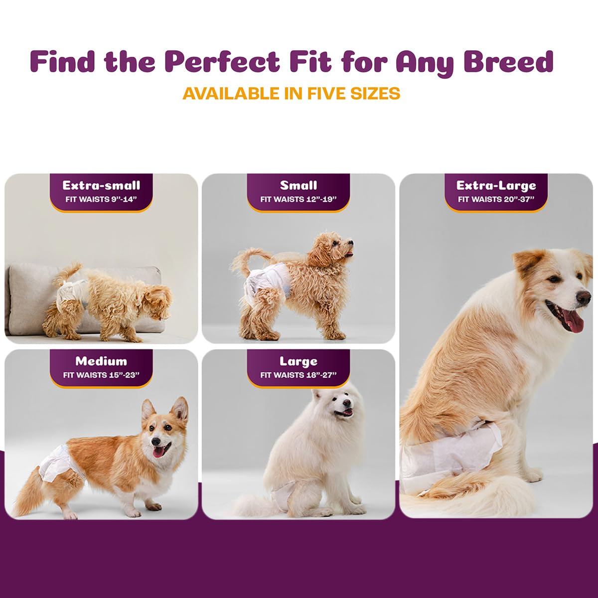Inspire Pet Care dog diapers female bulk pack closeup highlights leak protection and comfort.