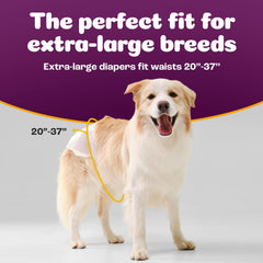 Inspire Pet Care packaging side profile, bulk pack for easy refills on the go.
