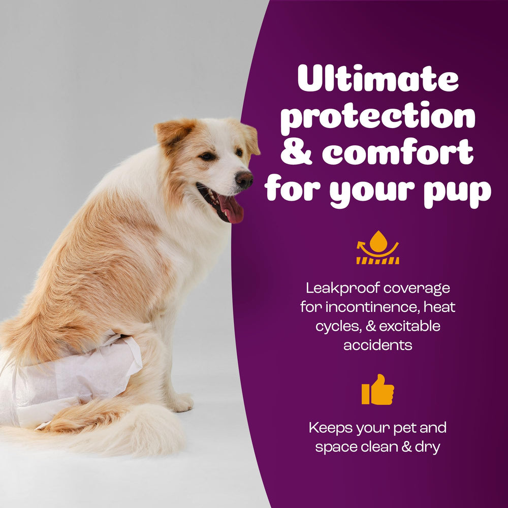 Inspire Pet Care extra-large fit covers bigger breeds comfortably.